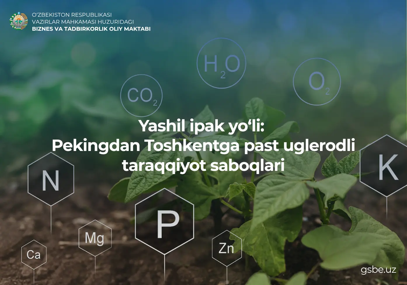 Yashil ipak yo‘li: Pekingdan Toshkentga past uglerodli taraqqiyot saboqlari